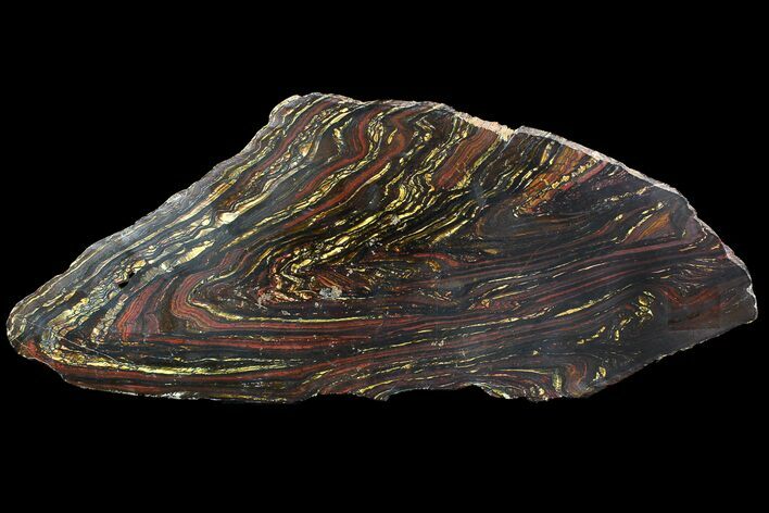 Polished Tiger Iron Stromatolite - ( Billion Years) #92845